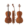LZSC700 Professional Cello