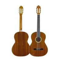 39"D shaped guitar
