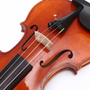 LZSV200 Student Violin