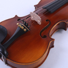 LZSV600 Medium Violin 