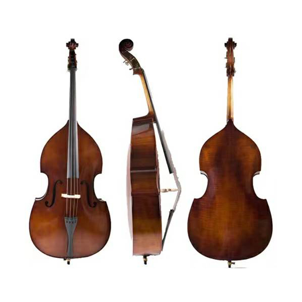 LZSD300 basses