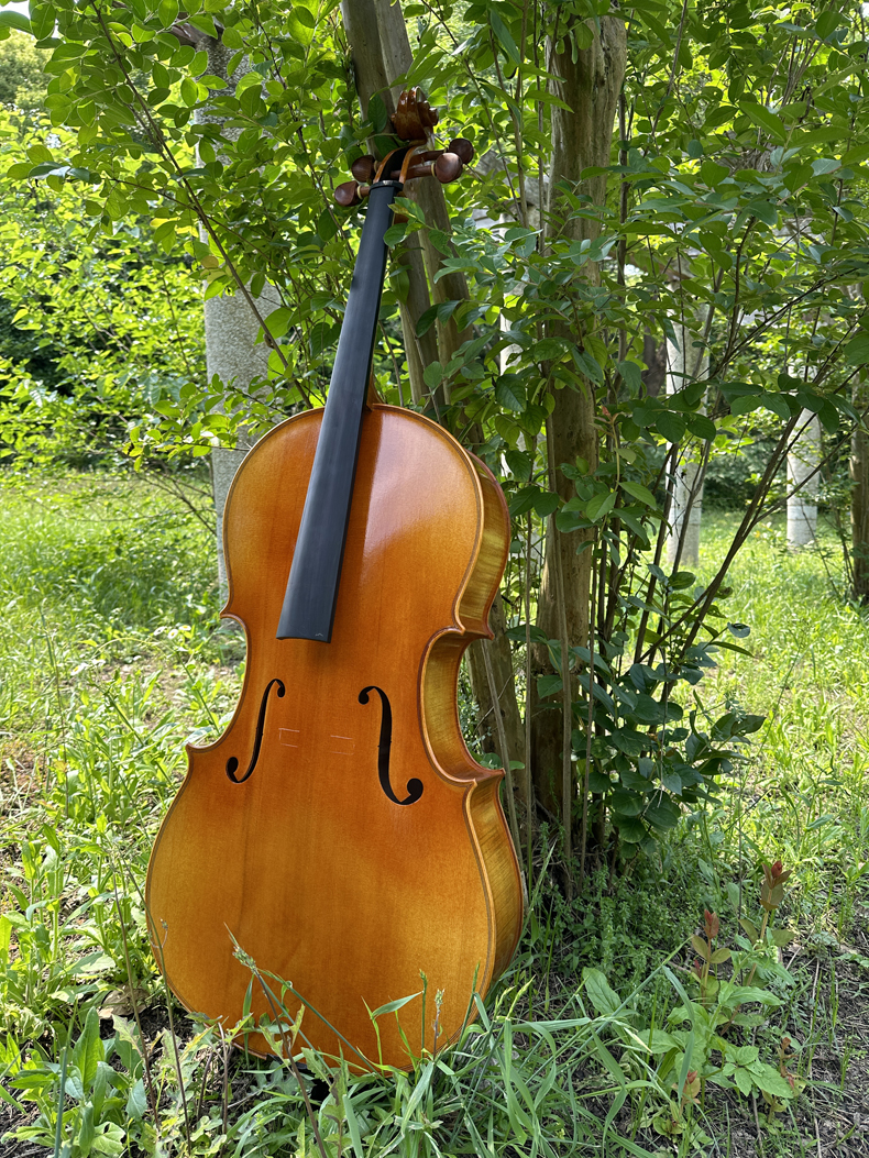 QQ图片20240709075543