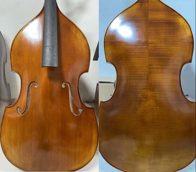 LZSD600 basses