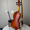 Mini Violin
