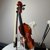 Mini Violin