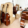LZSD088A basses